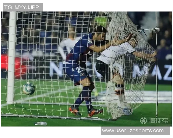 费尔明独特比喻展现队友风采特狮领袖卡萨多比特犬亚马尔最佳